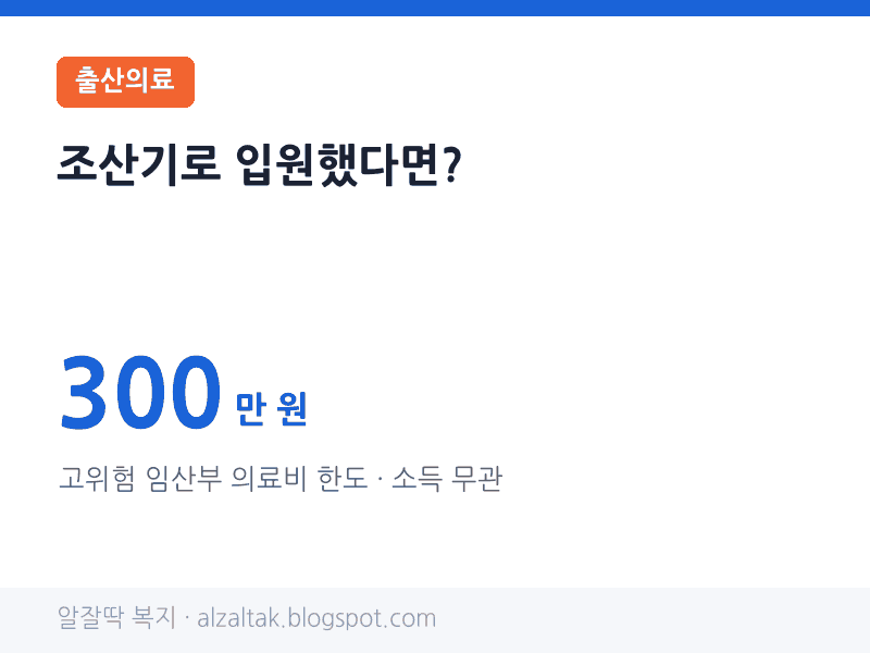 고위험 임산부 의료비 한도 300만 원 · 소득 기준 없음