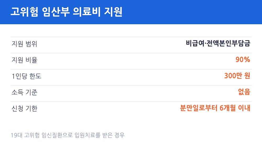 고위험 임산부 의료비 지원 비급여 90% 1인당 300만원 한도 소득 기준 없음
