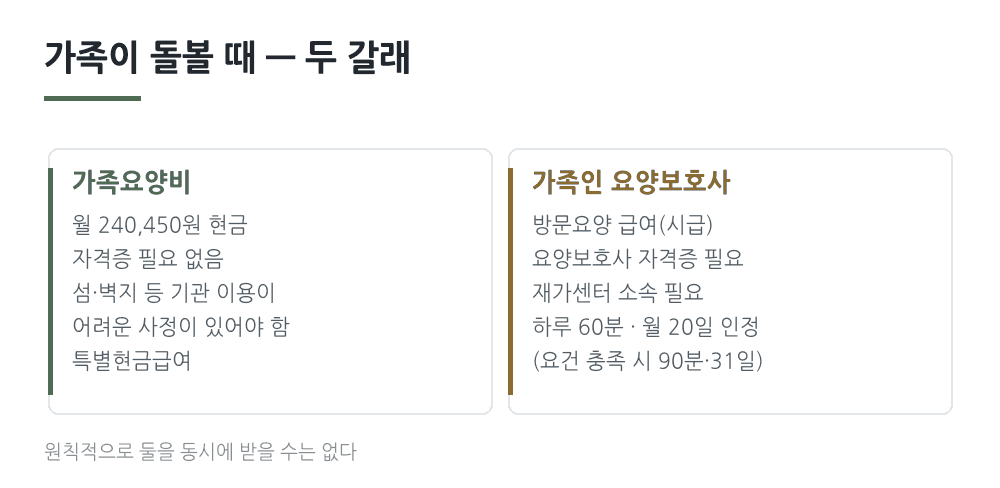 가족요양비와 가족인 요양보호사 비교