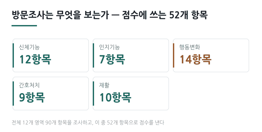 방문조사 영역별 항목 수 — 신체기능 12, 인지기능 7, 행동변화 14, 간호처치 9, 재활 10