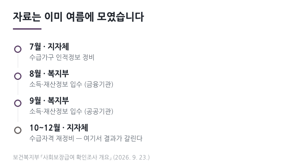 확인조사 추진절차 — 7월 인적정보 정비, 8월 금융기관, 9월 공공기관, 10~12월 지자체 재정비